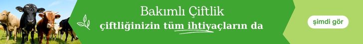 spot_img