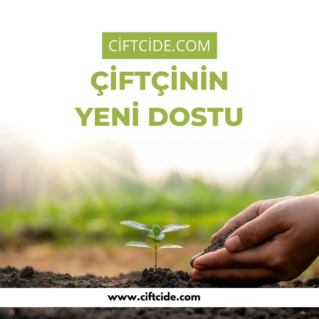 spot_img